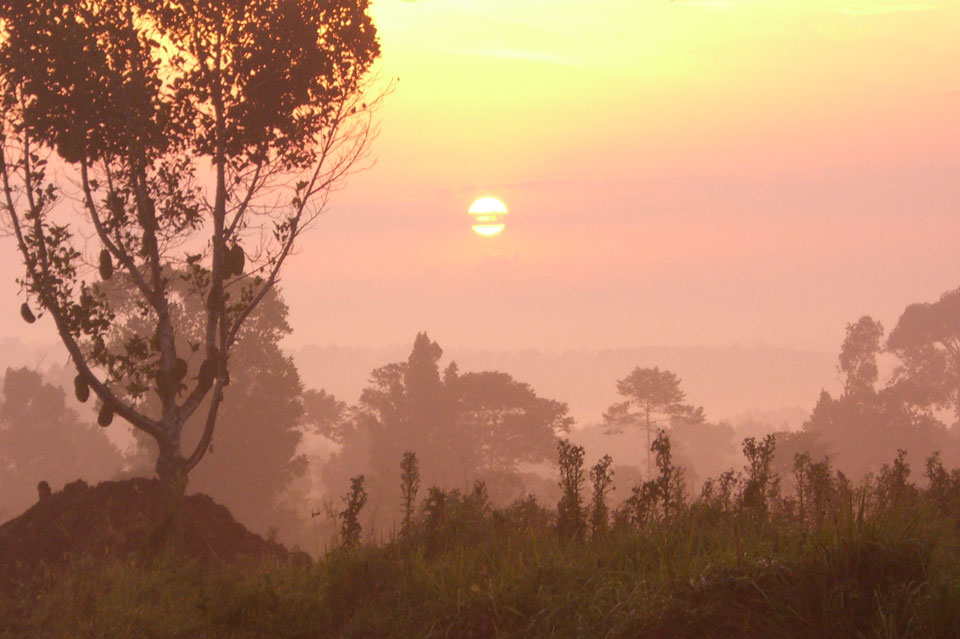 Sonnenaufgang über Afrika